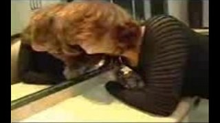 Мастурбација и Јебање у дупе