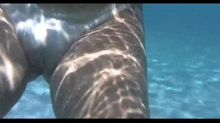 санобар дар дохили d;об дар porto да barra, salvador bahia