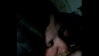 Lihava sika brittany imee ja vaientanut kuin huolimaton sika 2