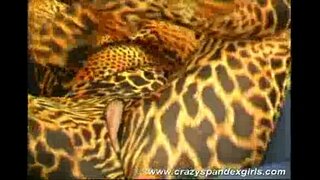 Crazy ტანმოვარჯიშე გოგონა, sex