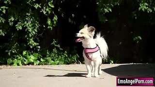 Ражымат кычал моаш пиш ӹшке ӹшке пашкудывлӓжӹм пӧрт сӱретлен мотор.Наградывлӓм тӹдӹн пашкуды ылын, нӹнӹ ӹшке выргемдӓм кыдаш, вара пашкуды а тӹдӹ логерӹм пӹчкӹн бигкок.Вӓшештӹмӹ пашкуды дӓ тӹдӹлӓн шӹцмӹ вӓрӹшкӹ келгӹн дӓ трахать киска тӹдӹм туранок, тӹ годымок пӹтӓрӹмлӓ агыл.