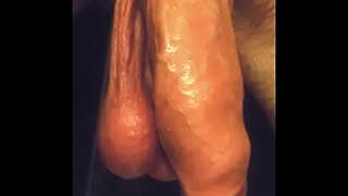 Mrbigd1988 የታዘዘ